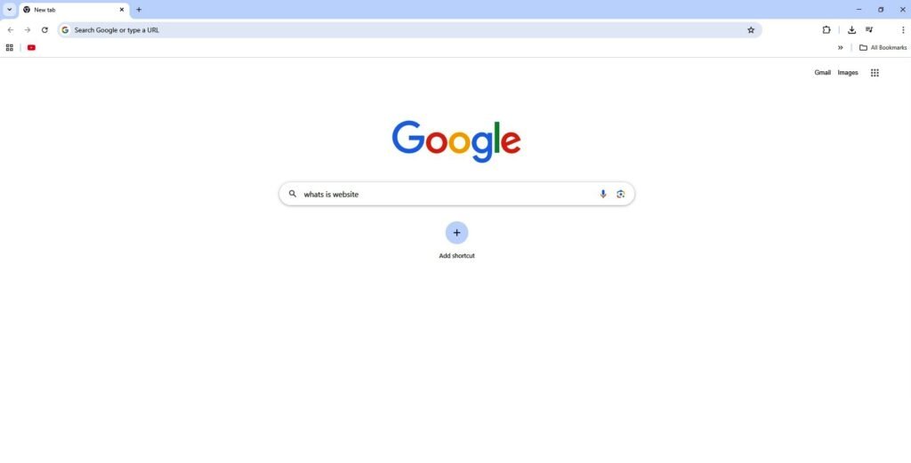 What is a Website?